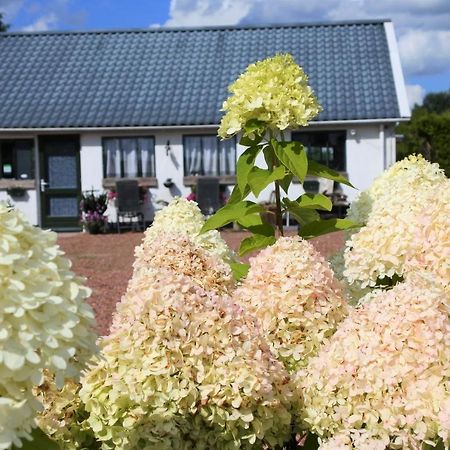 Sfeervol Appartement Het Knooppunt Nuis Exteriér fotografie