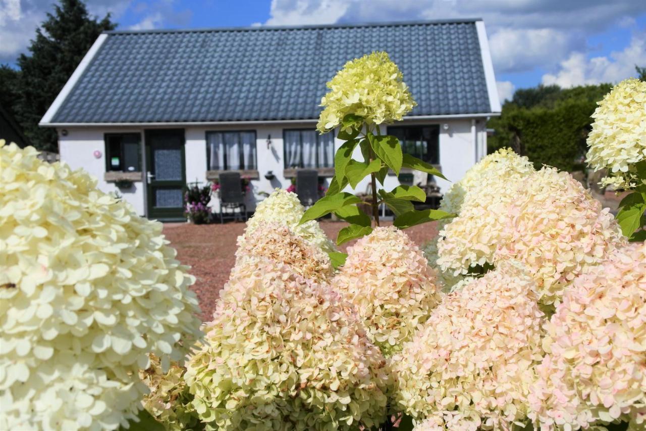 Sfeervol Appartement Het Knooppunt Nuis Exteriér fotografie